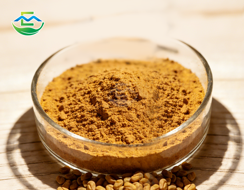 Fenugreek Seed Extract 60% Saponins